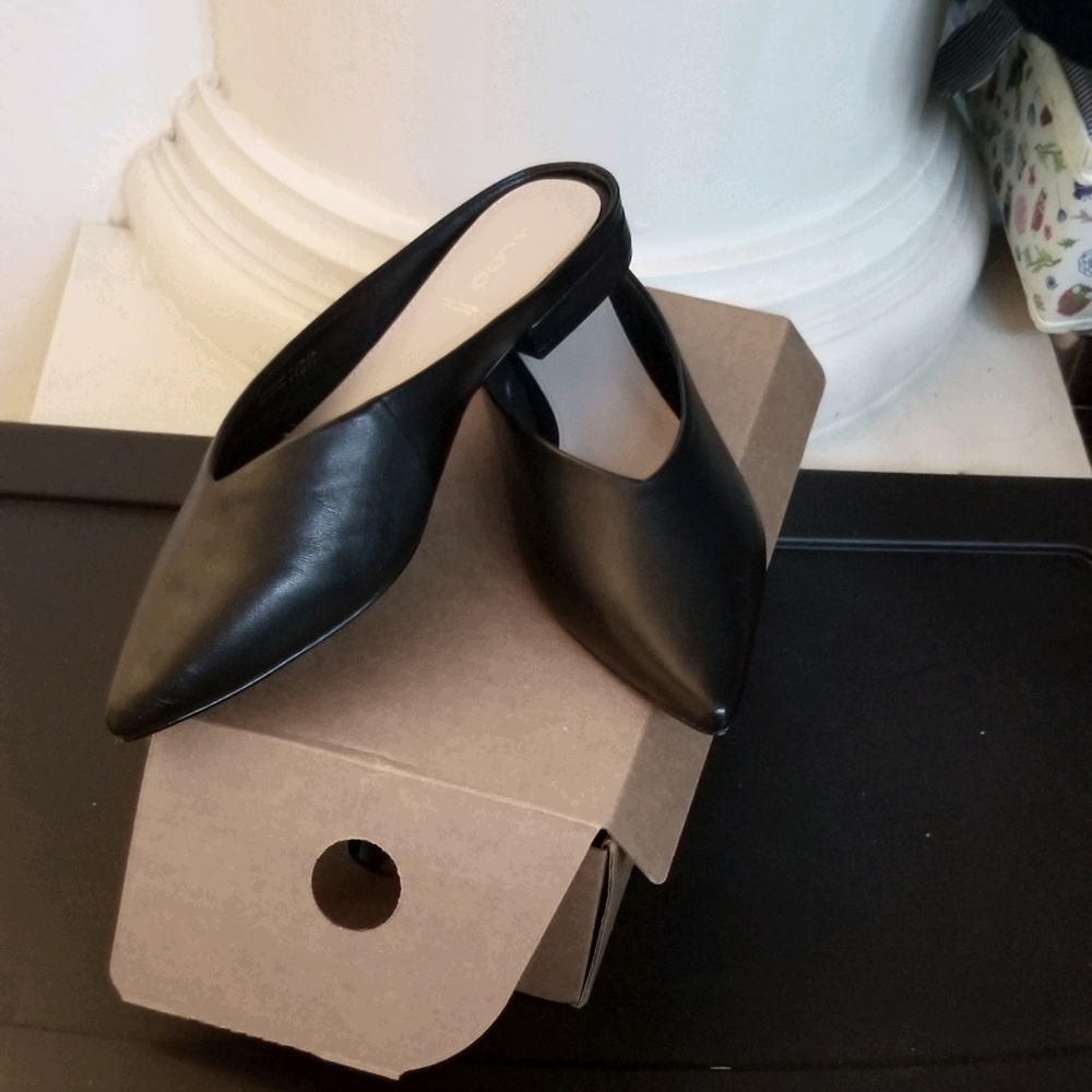 Black Leather Pointed Toe Mule Slide Aldo